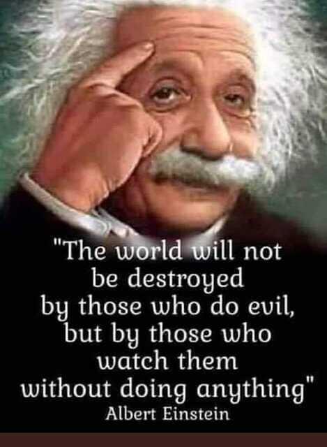 the world will be destroyed by those who watch without saying anything