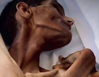 515501166 749725884475716 6532611653995698954 n