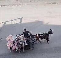 516076754 10162521128393213 4685587153301290237 n