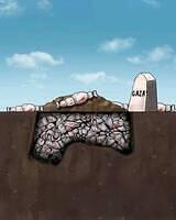 516250168 718512117624276 2888380481354789267 n