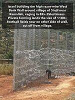 517962266 10234898402755013 7887323819608179688 n