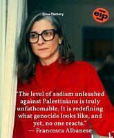 518353011 10172017092000531 5717539137751442315 n