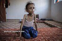 526752513 2732766533581898 1738107965324374272 n