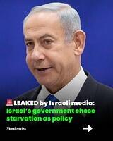 528262142 1181050380707044 3636998465826259860 n