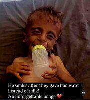 528686390 24604045085888441 319429971637185126 n