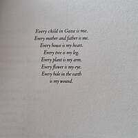 528716256 18394604239139685 6664314758846355134 n