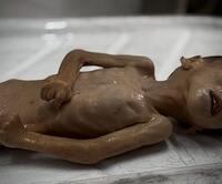 530930302 18531060193008874 6757577914915383169 n