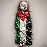 534163928 1146806930624723 5331476621133613936 n