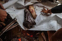 bafkreifp2zsq2b5i2tf3firfact5uckiup4thwtfxhlyxbg5s2enfaqs4u