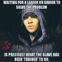 481232522 10160686639726806 8320757285571476061 n