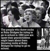 488309866 969473828728273 1814161867867450884 n