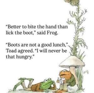 497706054 1407576200317151 2214205638735993014 n