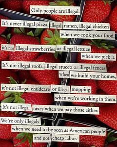 505647466 10163443170623969 6142043500942008275 n