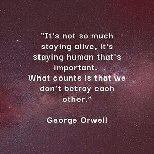 508129317 10163505658328474 6724282218067540877 n