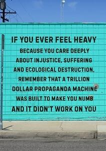 509915994 1136892771812629 1477850616316098826 n