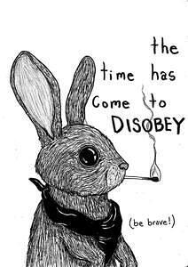 514950957 989883110022467 4166933463828726574 n