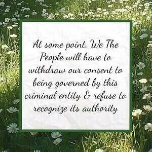 515436750 30425942323687799 5271432701486251426 n