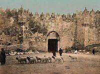 476898353 122224062788070750 7113988730528897711 n