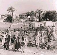 476934548 122223946370070750 2661532253397950147 n