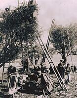 476941451 122223935726070750 6029633599698344006 n