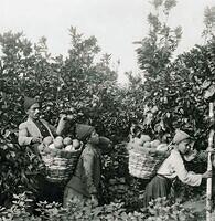 477212227 122224192916070750 1222745986726541474 n