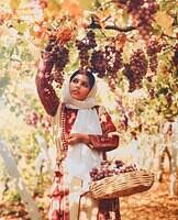 477291290 122224076654070750 2143887193654320793 n