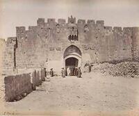 477331895 122224228016070750 349158254853782027 n