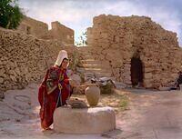 477356831 122223999542070750 6910426295431445755 n