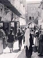 477629534 122223955394070750 4608816837153000123 n