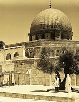 477916762 122224125014070750 3444680770418804889 n