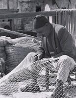 478151157 122224188668070750 3753667129713130367 n