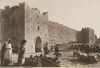 478320174 122224231328070750 3048249327433939671 n