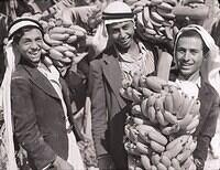 478693384 122224197026070750 2159533513251215882 n