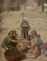 480161704 10226481936450431 5739400098601586939 n