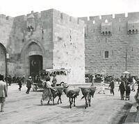 480679753 122225285624070750 7372980949265925867 n