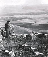 480693535 122226521078070750 1431568655359724879 n