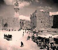 481182496 122227270394070750 370567219137814690 n