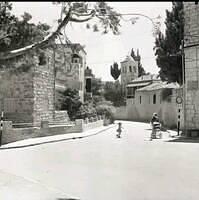 503120958 674164998768875 5065215810492016160 n