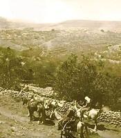 Al-Bireh Nablus, Palestine 1900