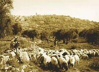 Bethlehem, Palestine