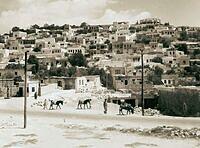 Kurdish Quarter, which is located at the bottom of Mount Canaan in Safed, Palestine 1946
