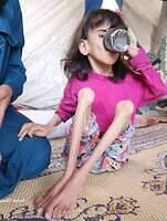 495371485 686820470871687 4697712707402147266 n