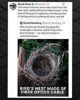 503704043 1176320671194247 5571948460013639877 n